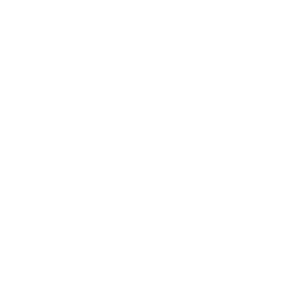 @Ellen Pitlo-Paardenfotografie-DIAP RGB