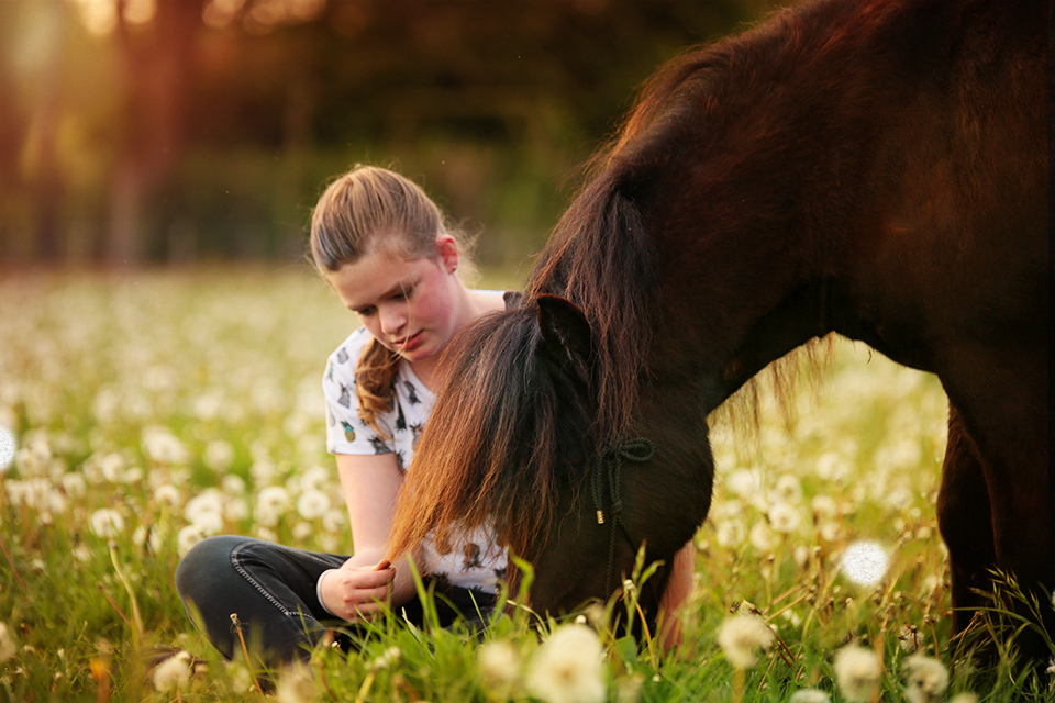 Ellen Pitlo Paardenfotografie