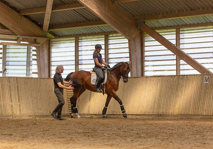 paardenfotograaf @ellenpitlofotografie gernerslag hj vroom