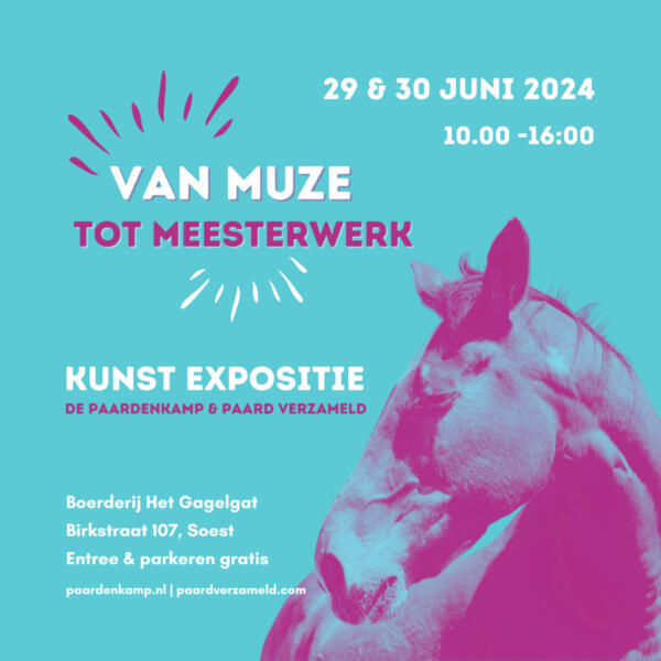 Insta-Van-Muse-tot-Meesterwerk expositie de Paardenkamp Soest 90 en 30 juni 2024